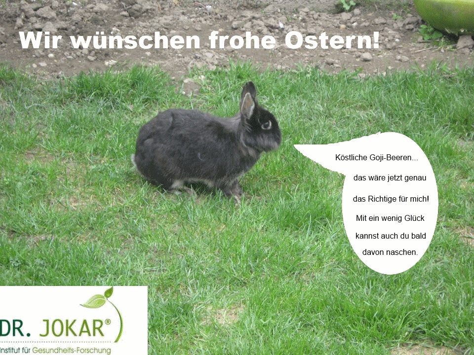 Ostergrüße vom Osterhasen